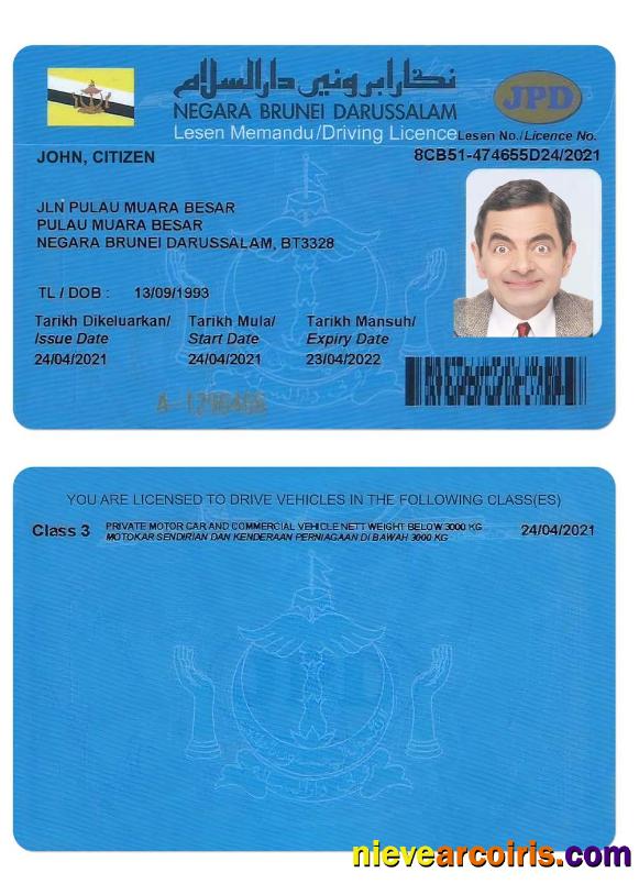 BRUNEI driving license